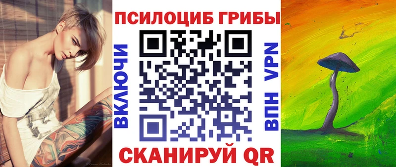 OMG вход  Любань  Псилоцибиновые грибы Cubensis 